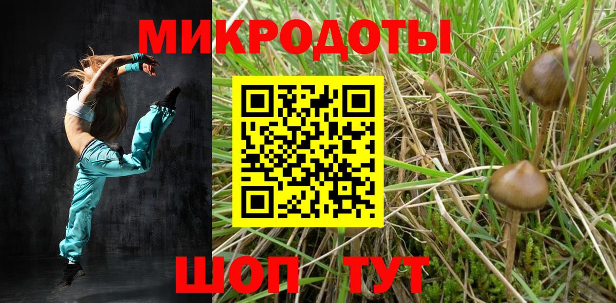 Галлюциногенные грибы прущие грибы  Вход с VPN  Псилоцибиновые грибы Magic Shrooms  Богородицк 